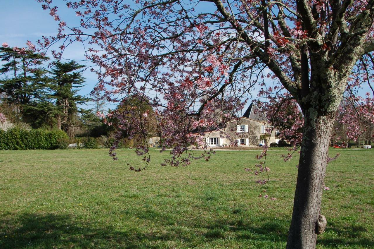 Chateau Ysard Camblanes-et-Meynac Εξωτερικό φωτογραφία